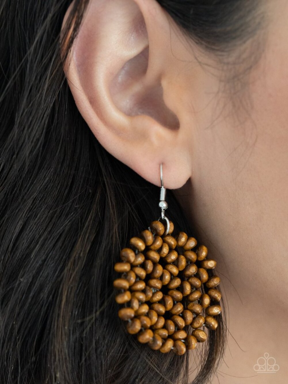 Paparazzi Earrings (ED213)